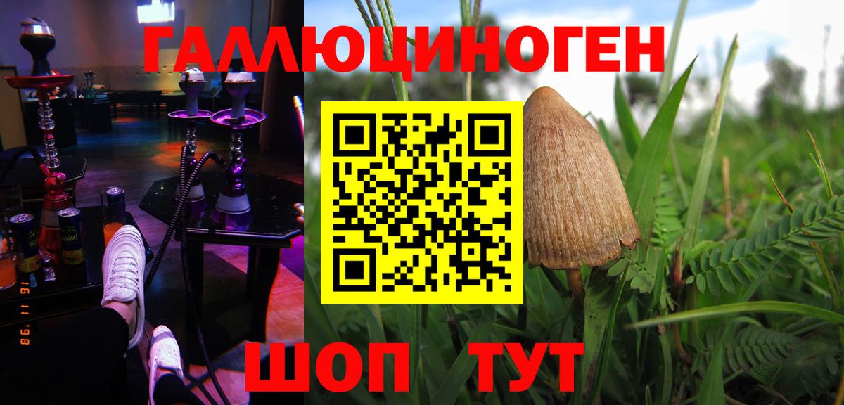 Псилоцибиновые грибы Psilocybe Сызрань