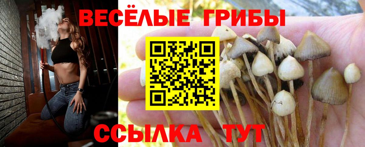 Псилоцибиновые грибы MAGIC MUSHROOMS  Вход с VPN  где продают   Сызрань 